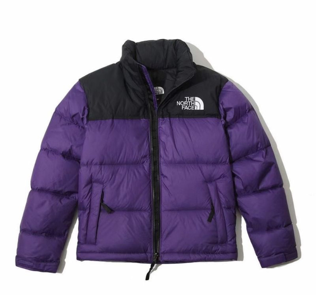 The north face Warme Winter-Daunenjacke für Herren von 1966, Oberbekleidung, Puffer-Parka, Mäntel, Oberbekleidung mit Reißverschluss