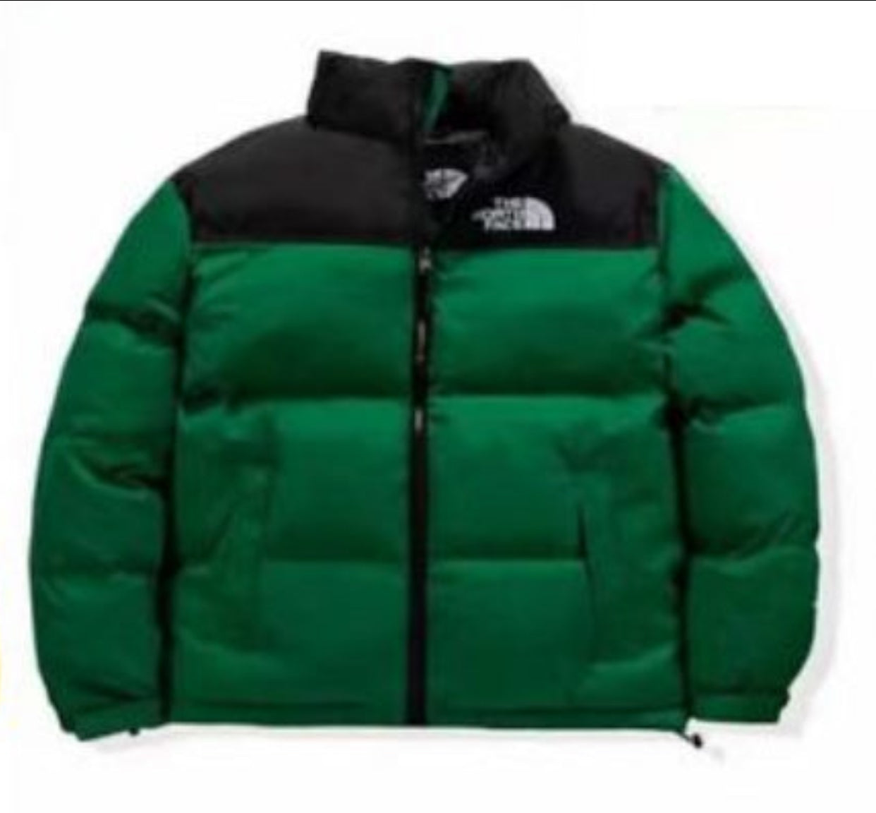 The north face Warme Winter-Daunenjacke für Herren von 1966, Oberbekleidung, Puffer-Parka, Mäntel, Oberbekleidung mit Reißverschluss