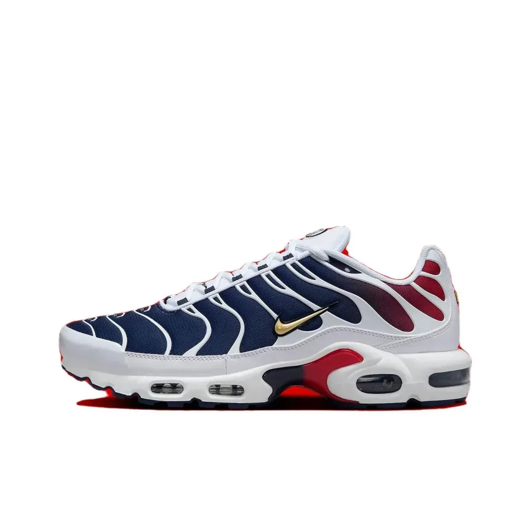 Nike Siyah Gri colorway Air Max Plus TN erkek Retro Düşük Üst Rahat Koşu Ayakkabıları Rahat Şok Emme Spor Ayakkabıları